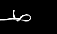  8̎2