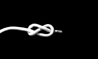 8̎3