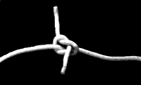 Ăނ