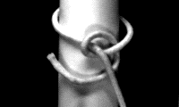 ӂ3
