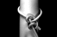 ӂ4