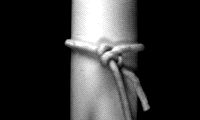 ӂ5